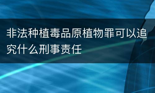 非法种植毒品原植物罪可以追究什么刑事责任