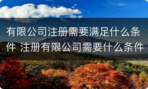 有限公司注册需要满足什么条件 注册有限公司需要什么条件?