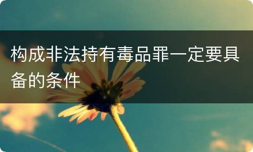 构成非法持有毒品罪一定要具备的条件