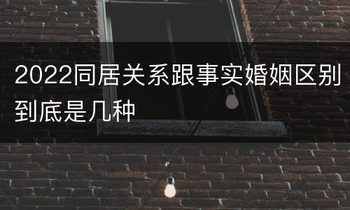 2022同居关系跟事实婚姻区别到底是几种