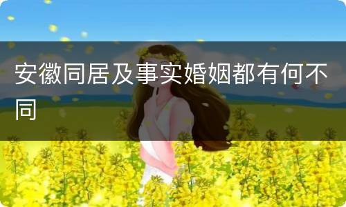 安徽同居及事实婚姻都有何不同