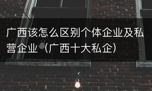 广西该怎么区别个体企业及私营企业（广西十大私企）