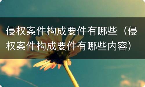 侵权案件构成要件有哪些（侵权案件构成要件有哪些内容）