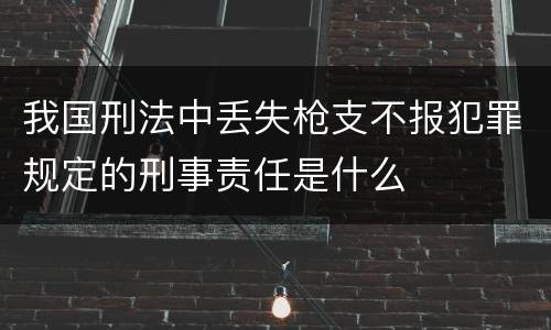 我国刑法中丢失枪支不报犯罪规定的刑事责任是什么