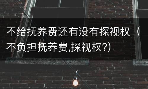 不给抚养费还有没有探视权（不负担抚养费,探视权?）