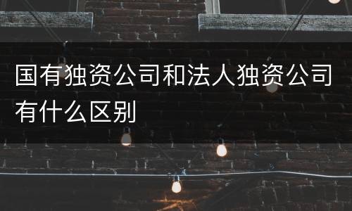 国有独资公司和法人独资公司有什么区别