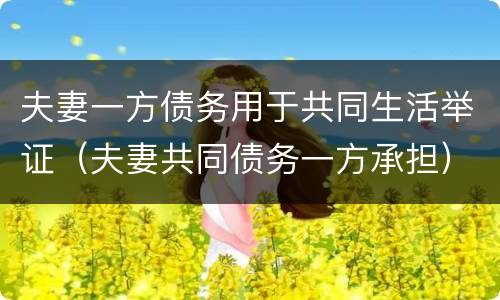 夫妻一方债务用于共同生活举证（夫妻共同债务一方承担）