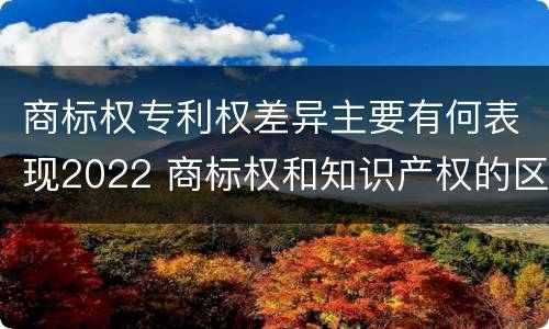 商标权专利权差异主要有何表现2022 商标权和知识产权的区别