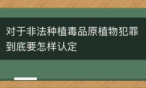 对于非法种植毒品原植物犯罪到底要怎样认定