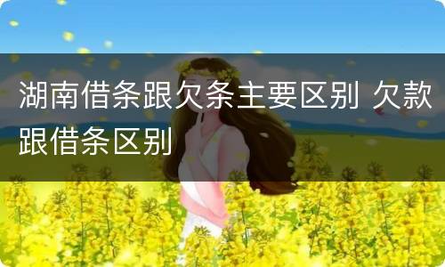 湖南借条跟欠条主要区别 欠款跟借条区别