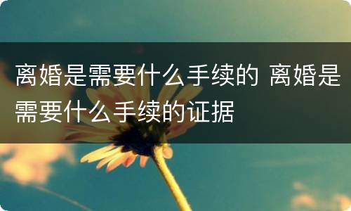 离婚是需要什么手续的 离婚是需要什么手续的证据