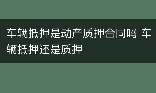 车辆抵押是动产质押合同吗 车辆抵押还是质押