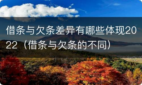 借条与欠条差异有哪些体现2022（借条与欠条的不同）