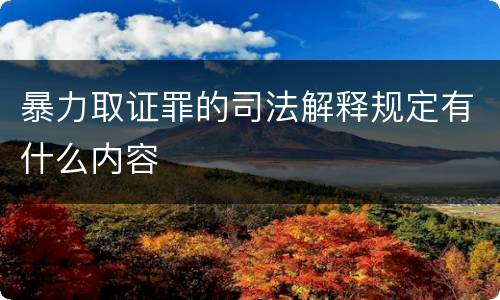 暴力取证罪的司法解释规定有什么内容