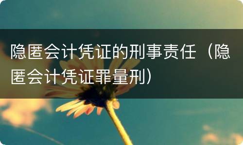 隐匿会计凭证的刑事责任（隐匿会计凭证罪量刑）