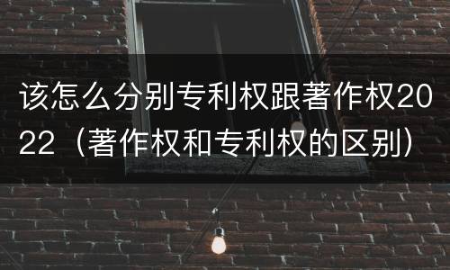 该怎么分别专利权跟著作权2022（著作权和专利权的区别）