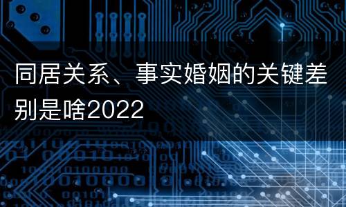 同居关系、事实婚姻的关键差别是啥2022