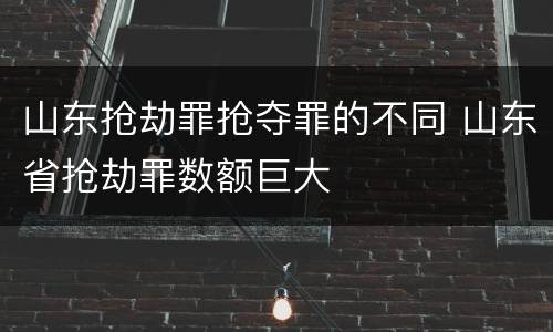 山东抢劫罪抢夺罪的不同 山东省抢劫罪数额巨大