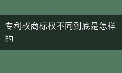 专利权商标权不同到底是怎样的