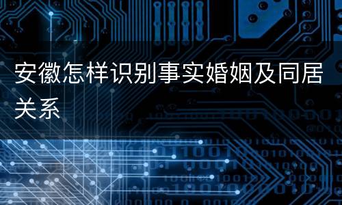 安徽怎样识别事实婚姻及同居关系