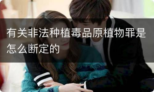 有关非法种植毒品原植物罪是怎么断定的