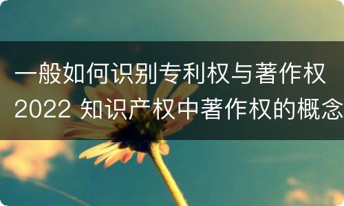 一般如何识别专利权与著作权2022 知识产权中著作权的概念