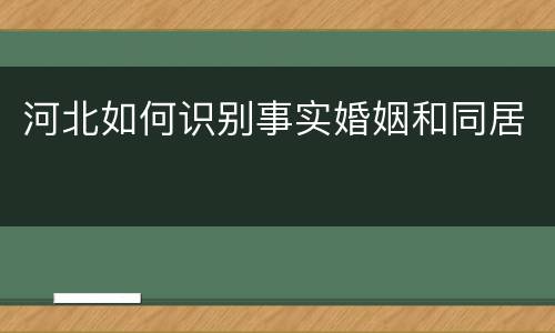 河北如何识别事实婚姻和同居