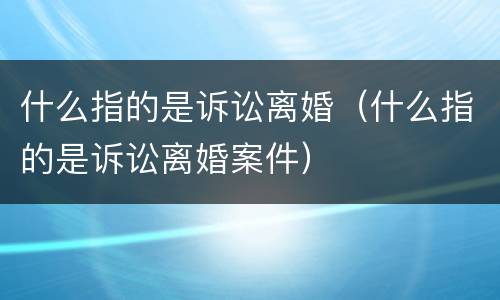什么指的是诉讼离婚（什么指的是诉讼离婚案件）