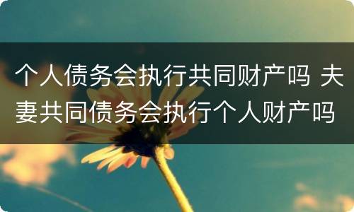 个人债务会执行共同财产吗 夫妻共同债务会执行个人财产吗