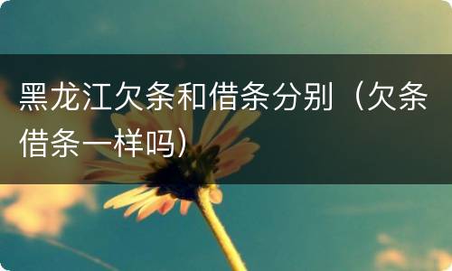 黑龙江欠条和借条分别（欠条借条一样吗）