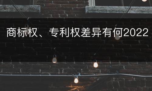 商标权、专利权差异有何2022