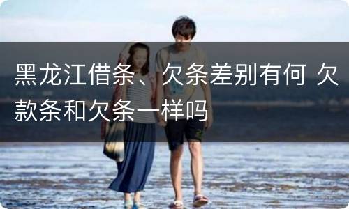 黑龙江借条、欠条差别有何 欠款条和欠条一样吗