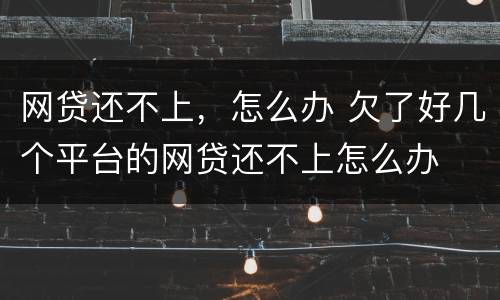 网贷还不上，怎么办 欠了好几个平台的网贷还不上怎么办