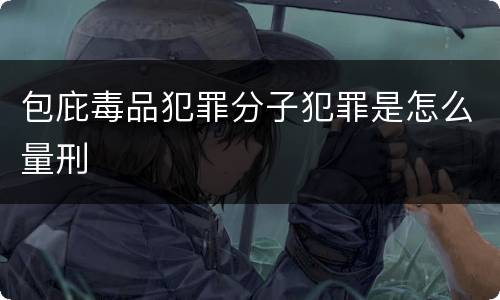 包庇毒品犯罪分子犯罪是怎么量刑