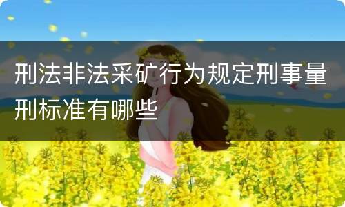 刑法非法采矿行为规定刑事量刑标准有哪些