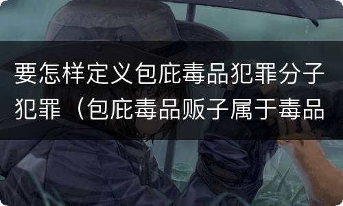 要怎样定义包庇毒品犯罪分子犯罪（包庇毒品贩子属于毒品犯罪吗）