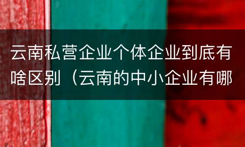 云南私营企业个体企业到底有啥区别（云南的中小企业有哪些）