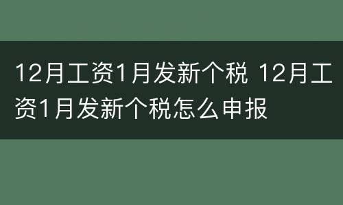 12月工资1月发新个税 12月工资1月发新个税怎么申报