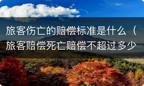 旅客伤亡的赔偿标准是什么（旅客赔偿死亡赔偿不超过多少）