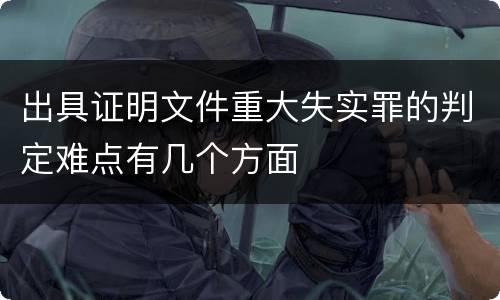 出具证明文件重大失实罪的判定难点有几个方面