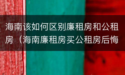 海南该如何区别廉租房和公租房（海南廉租房买公租房后悔了）