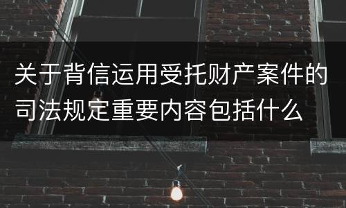关于背信运用受托财产案件的司法规定重要内容包括什么