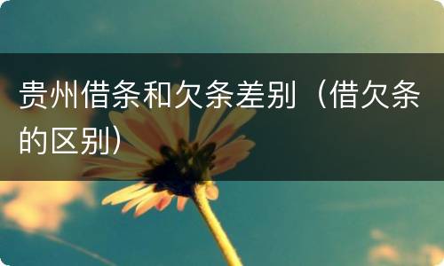 贵州借条和欠条差别（借欠条的区别）