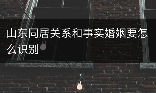 山东同居关系和事实婚姻要怎么识别