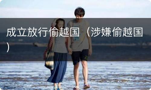 成立放行偷越国（涉嫌偷越国）