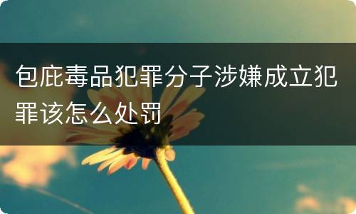 包庇毒品犯罪分子涉嫌成立犯罪该怎么处罚