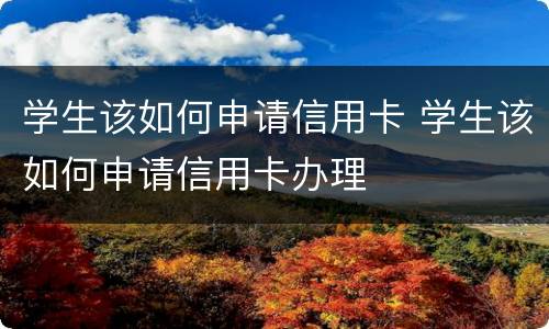 学生该如何申请信用卡 学生该如何申请信用卡办理