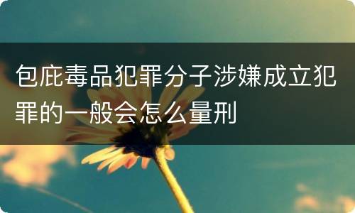 包庇毒品犯罪分子涉嫌成立犯罪的一般会怎么量刑