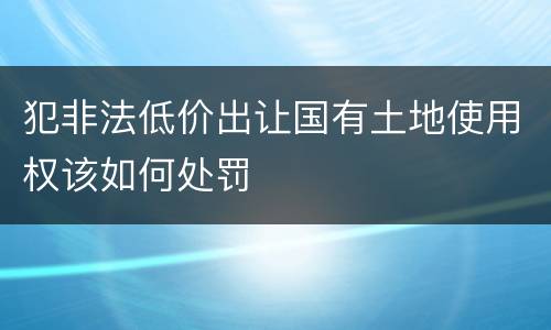 犯非法低价出让国有土地使用权该如何处罚