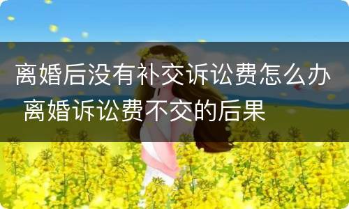 离婚后没有补交诉讼费怎么办 离婚诉讼费不交的后果